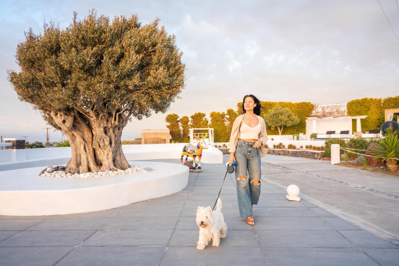 Oia Sunset Villas Екстериор снимка